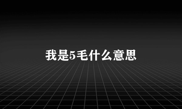 我是5毛什么意思