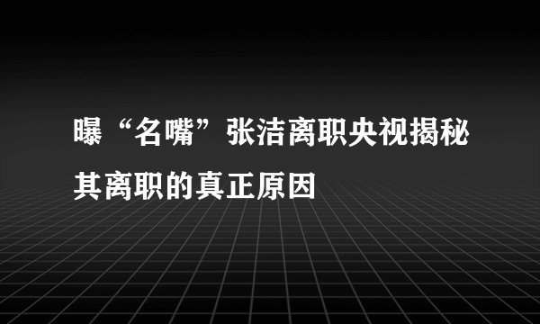 曝“名嘴”张洁离职央视揭秘其离职的真正原因