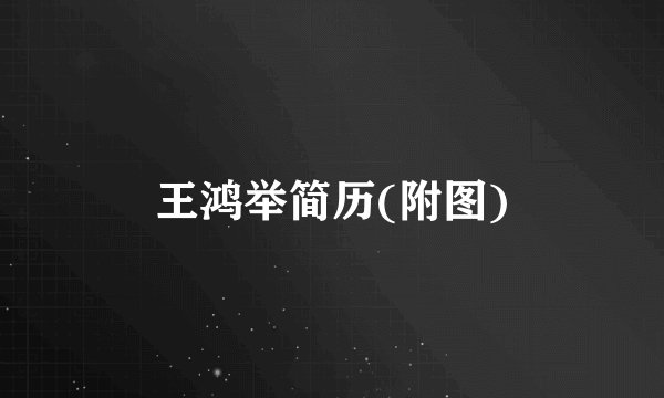 王鸿举简历(附图)