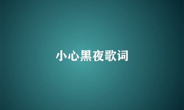 小心黑夜歌词