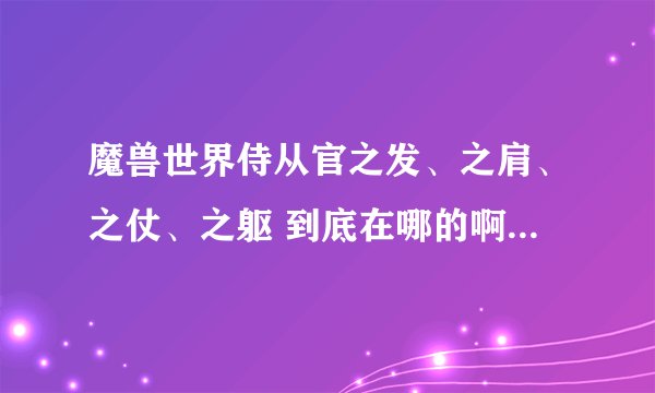 魔兽世界侍从官之发、之肩、之仗、之躯 到底在哪的啊? 求图