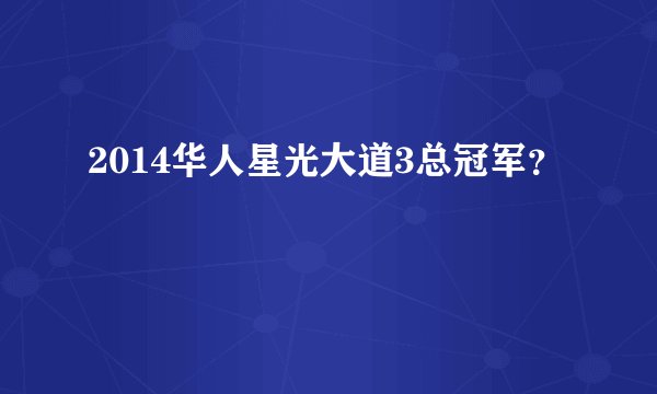 2014华人星光大道3总冠军？
