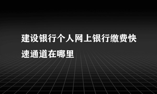 建设银行个人网上银行缴费快速通道在哪里
