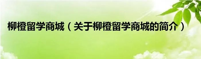 柳橙留学商城（关于柳橙留学商城的简介）