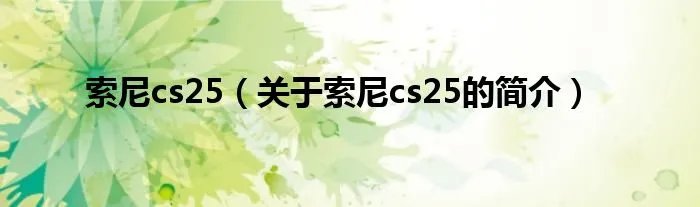 索尼cs25（关于索尼cs25的简介）