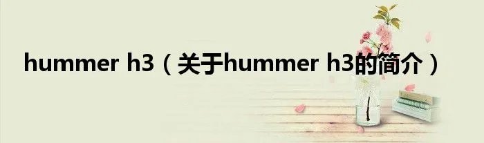 hummer h3（关于hummer h3的简介）