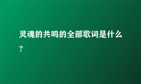 灵魂的共鸣的全部歌词是什么？