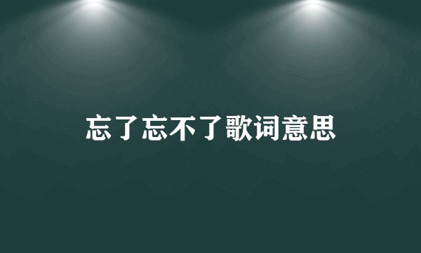 忘了忘不了歌词意思