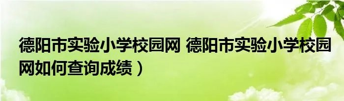 德阳市实验小学校园网 德阳市实验小学校园网如何查询成绩）