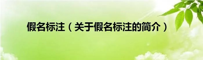 假名标注（关于假名标注的简介）