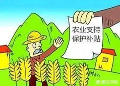 农村补贴项目有哪些?
