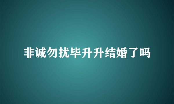 非诚勿扰毕升升结婚了吗