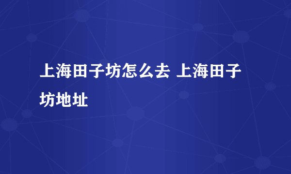 上海田子坊怎么去 上海田子坊地址