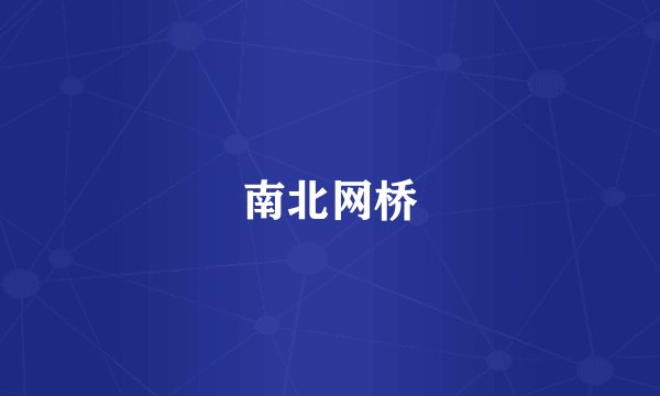 南北网桥
