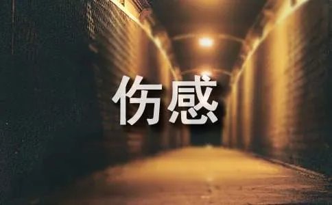 伤感日记