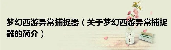 梦幻西游异常捕捉器（关于梦幻西游异常捕捉器的简介）