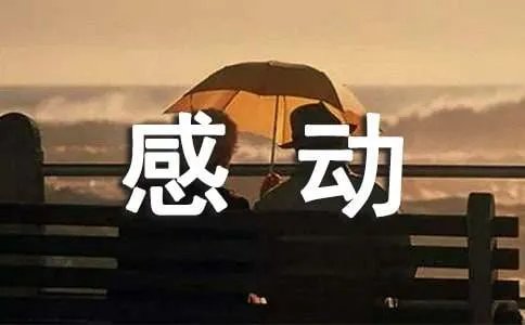 感动人的作文