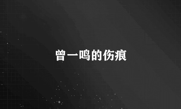 曾一鸣的伤痕