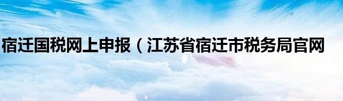 宿迁国税网上申报(江苏省宿迁市税务局官网