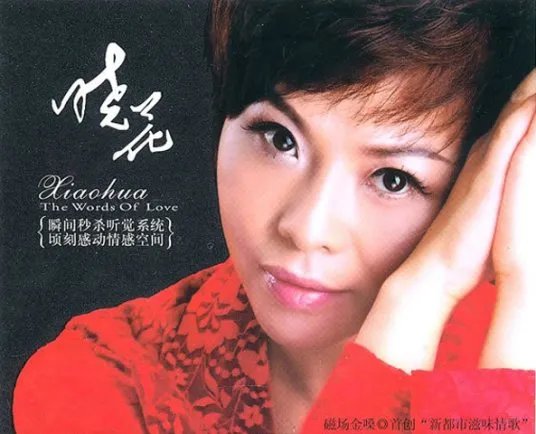 鸿雁 mp3