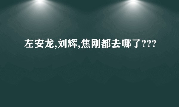 左安龙,刘辉,焦刚都去哪了???