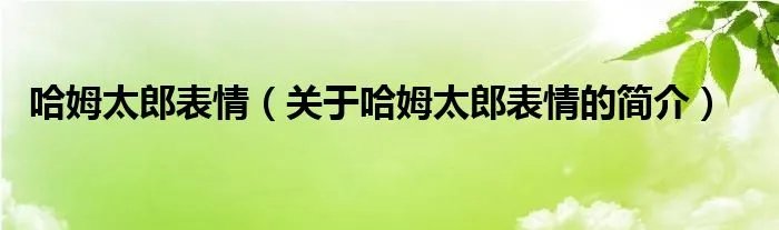 哈姆太郎表情(关于哈姆太郎表情的简介)