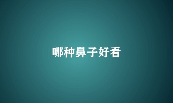 哪种鼻子好看