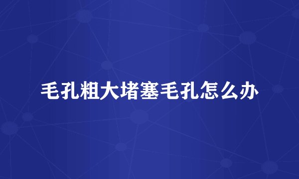 毛孔粗大堵塞毛孔怎么办