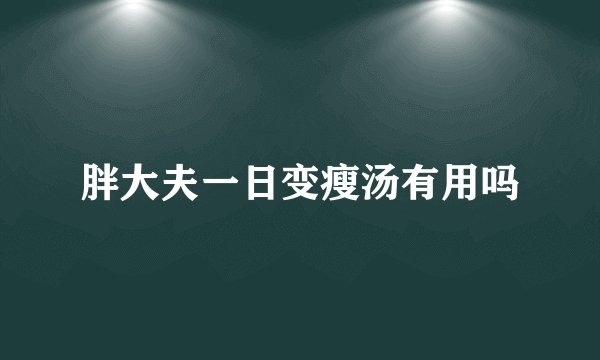 胖大夫一日变瘦汤有用吗