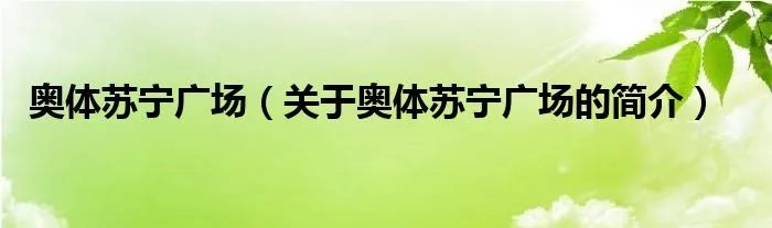 奥体苏宁广场（关于奥体苏宁广场的简介）