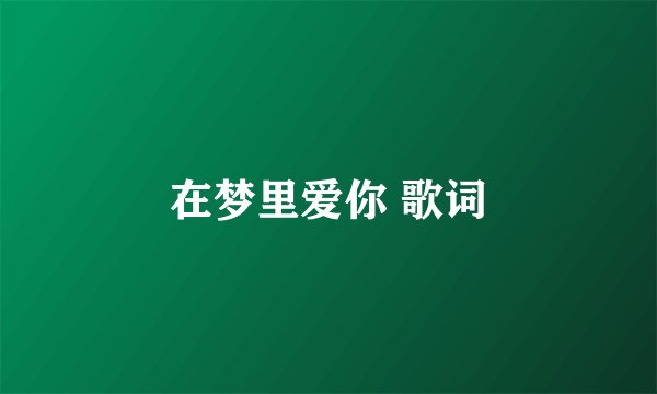 在梦里爱你 歌词