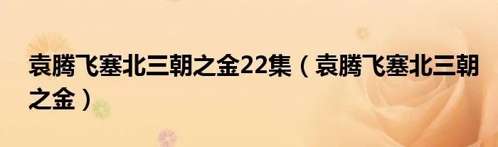 袁腾飞塞北三朝之金22集（袁腾飞塞北三朝之金）