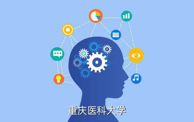 重庆医科大学教务网,重庆医科大学