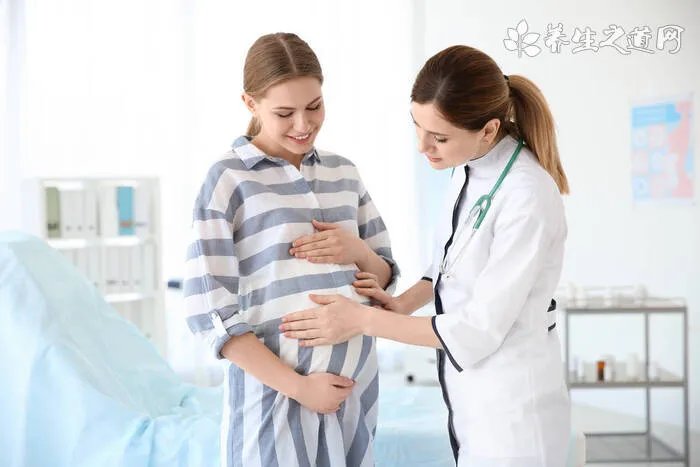 西瓜子的营养价值