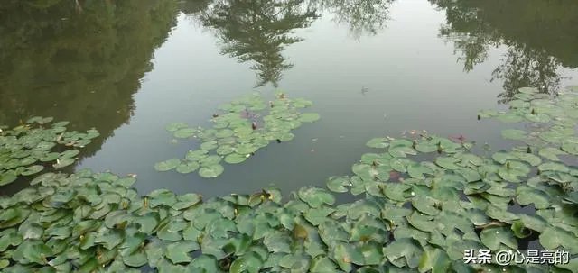 上联是“心若惜,咫尺天涯”,如何对下联?