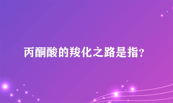 丙酮酸的羧化之路是指？