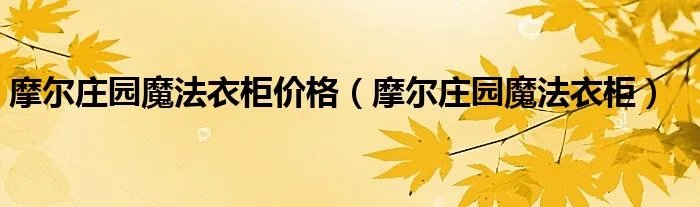 摩尔庄园魔法衣柜价格（摩尔庄园魔法衣柜）
