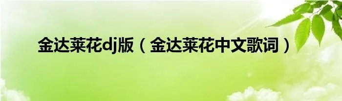 金达莱花dj版（金达莱花中文歌词）