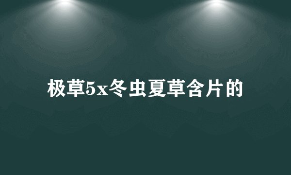 极草5x冬虫夏草含片的