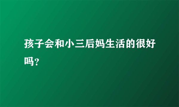 孩子会和小三后妈生活的很好吗？