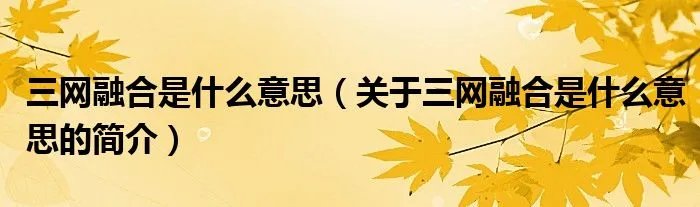 三网融合是什么意思（关于三网融合是什么意思的简介）