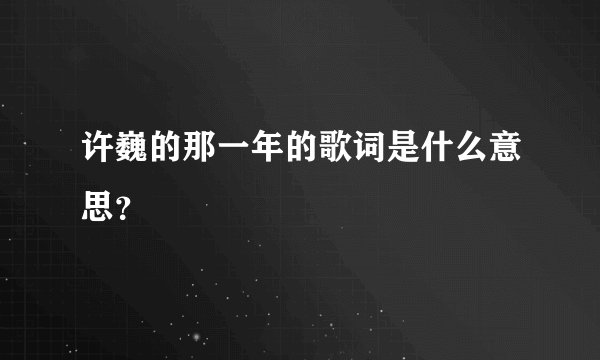 许巍的那一年的歌词是什么意思?