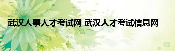 武汉人事人才考试网 武汉人才考试信息网