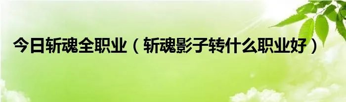 今日斩魂全职业（斩魂影子转什么职业好）