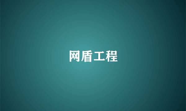 网盾工程