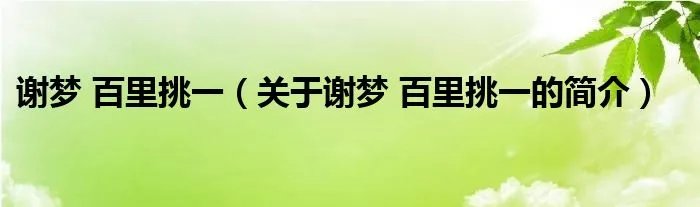 谢梦 百里挑一（关于谢梦 百里挑一的简介）