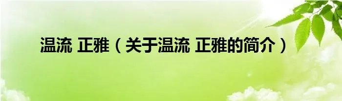 温流 正雅（关于温流 正雅的简介）