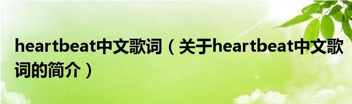 heartbeat中文歌词（关于heartbeat中文歌词的简介）