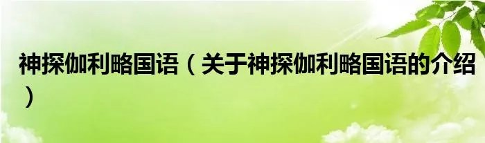 神探伽利略国语（关于神探伽利略国语的介绍）