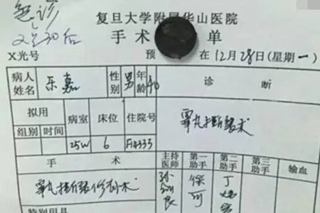 曝乐嘉录节目时睾丸破裂 曾经醉酒录节目失控爆粗